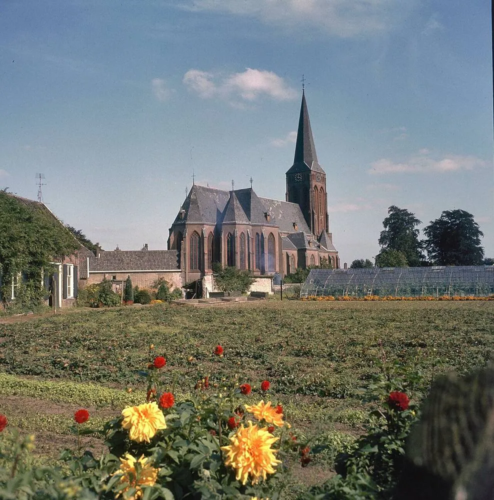 Baak: Overzicht, zuid-oostzijde - Baak - 20371382 - RCE